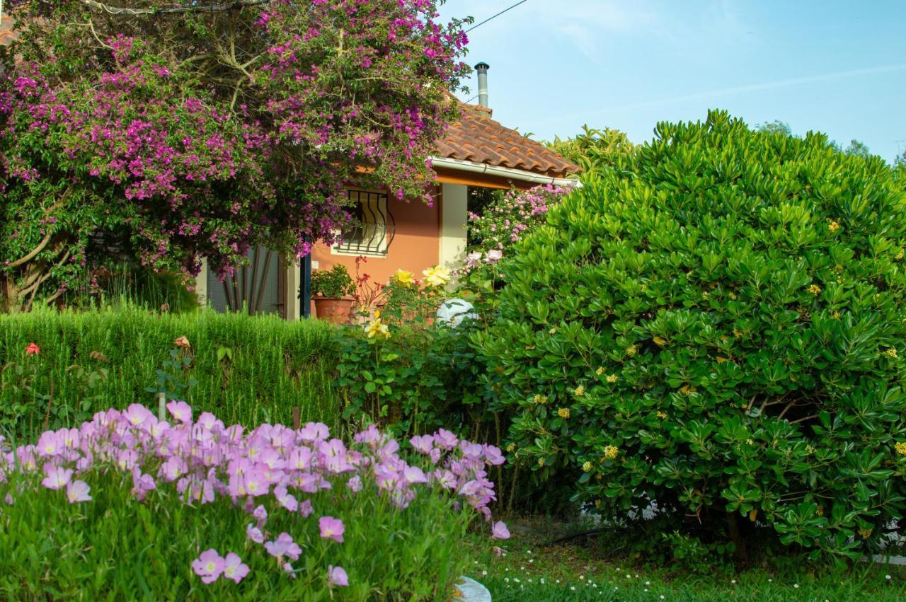 Vila Rose Garden Melíkia Exteriér fotografie
