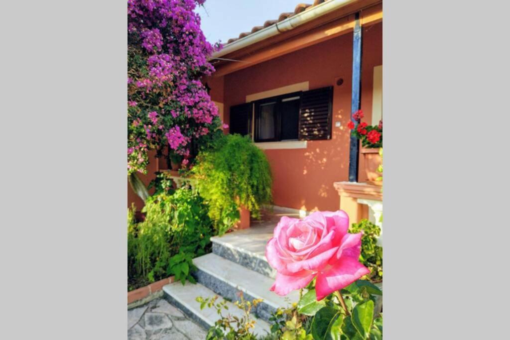 Vila Rose Garden Melíkia Exteriér fotografie
